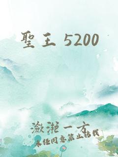 圣王 5200