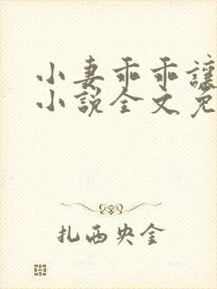 小妻乖乖让我宠小说全文免费阅读