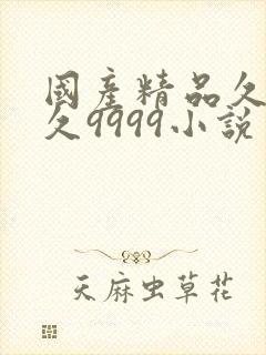 国产精品久久久久9999小说