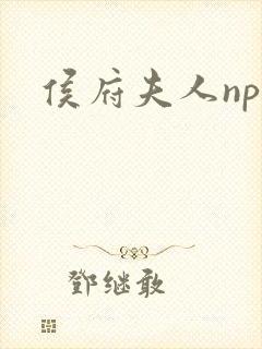 侯府夫人np