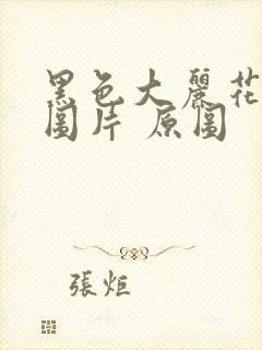 黑色大丽花真实图片 原图