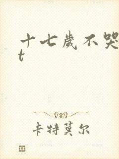 十七岁不哭txt