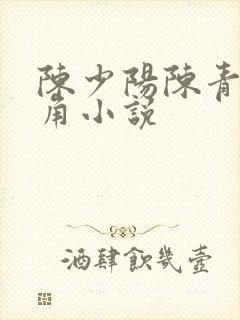 陈少阳陈青帝主角小说