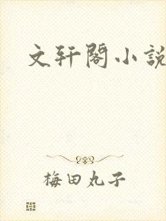 文轩阁小说网