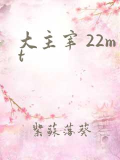 大主宰 22mt