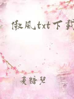 傲风txt下载