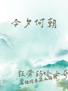 今夕何朝