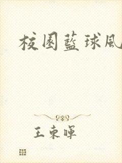 校园蓝球风云