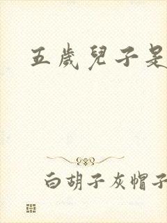 五岁儿子是相公