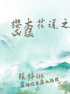 樱木花道之重生凶猛