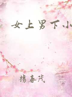 女上男下小说