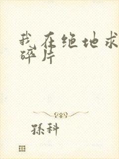 我在绝地求生捡碎片