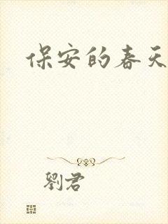 保安的春天