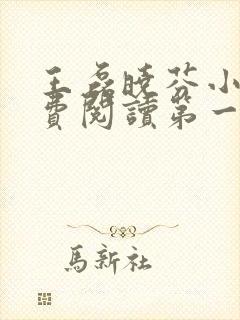 王磊晓芬小说免费阅读第一章