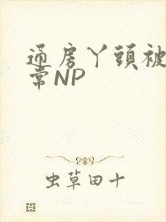 通房丫头被肉日常NP