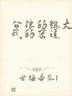 公狼的粗大挺进我的密道