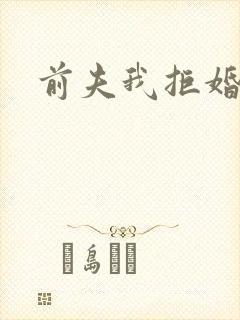 前夫我拒婚