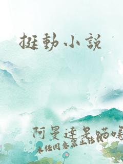 挺动小说