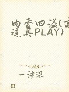 肉香四溢(高H道具PLAY)