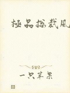 极品总裁风流录