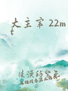 大主宰 22mt