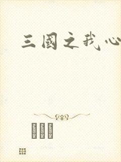 三国之我心狂想