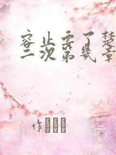 容止要了楚玉第二次第几章