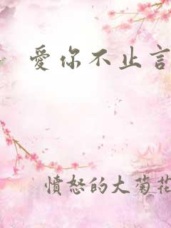 爱你不止言语