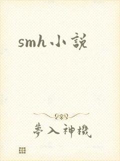 smh小说