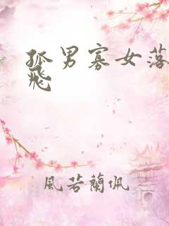 孤男寡女落瑛纷飞