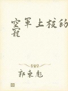 空军上校的邪魅宠