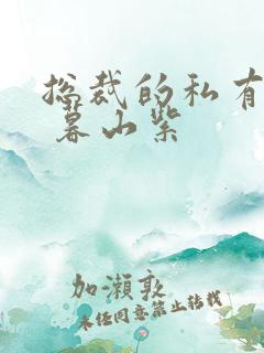 总裁的私有宝贝 暮山紫