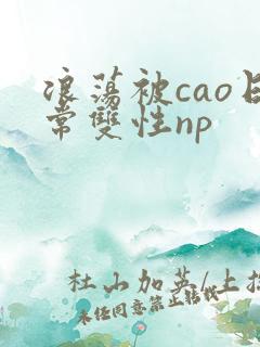 浪荡被cao日常双性np