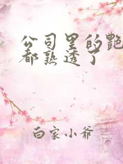 公司里的艳妇们都熟透了