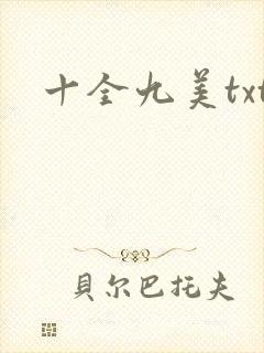 十全九美txt