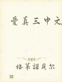 爱真三中文网