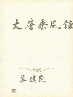 大唐乘风录