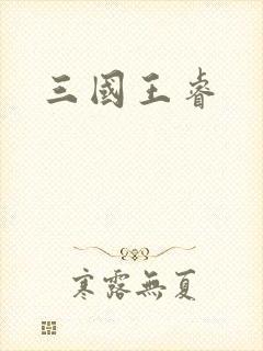 三国王睿