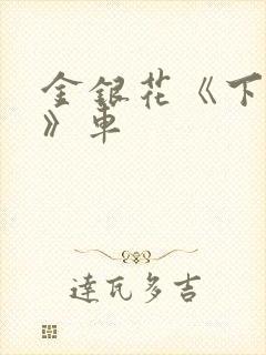 金银花《下厨房》车