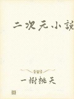 二次元小说网站