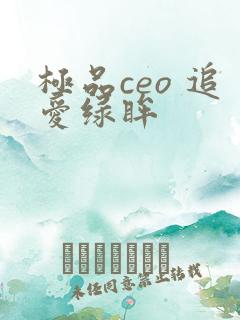 极品ceo 追爱绿眸