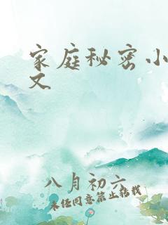 家庭秘密小说全文