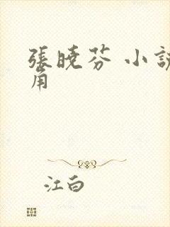 张晓芬 小说主角