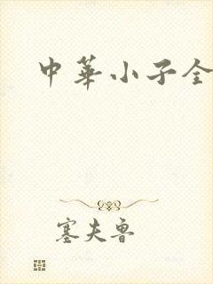 中华小子全集