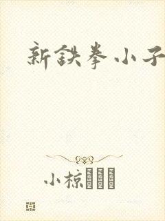 新铁拳小子