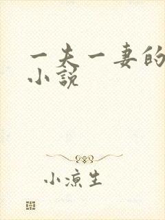 一夫一妻的玄幻小说