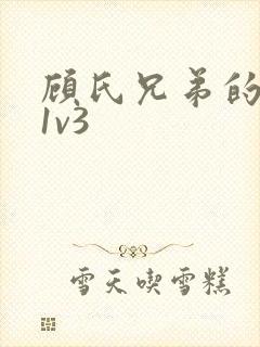 顾氏兄弟的南宁1v3