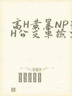 高H黄暴NP辣H公交车检票员