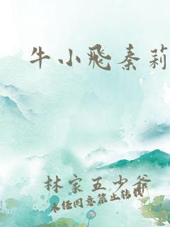 牛小飞秦莉莉
