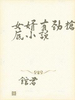 女婿有劲枪枪到底小说